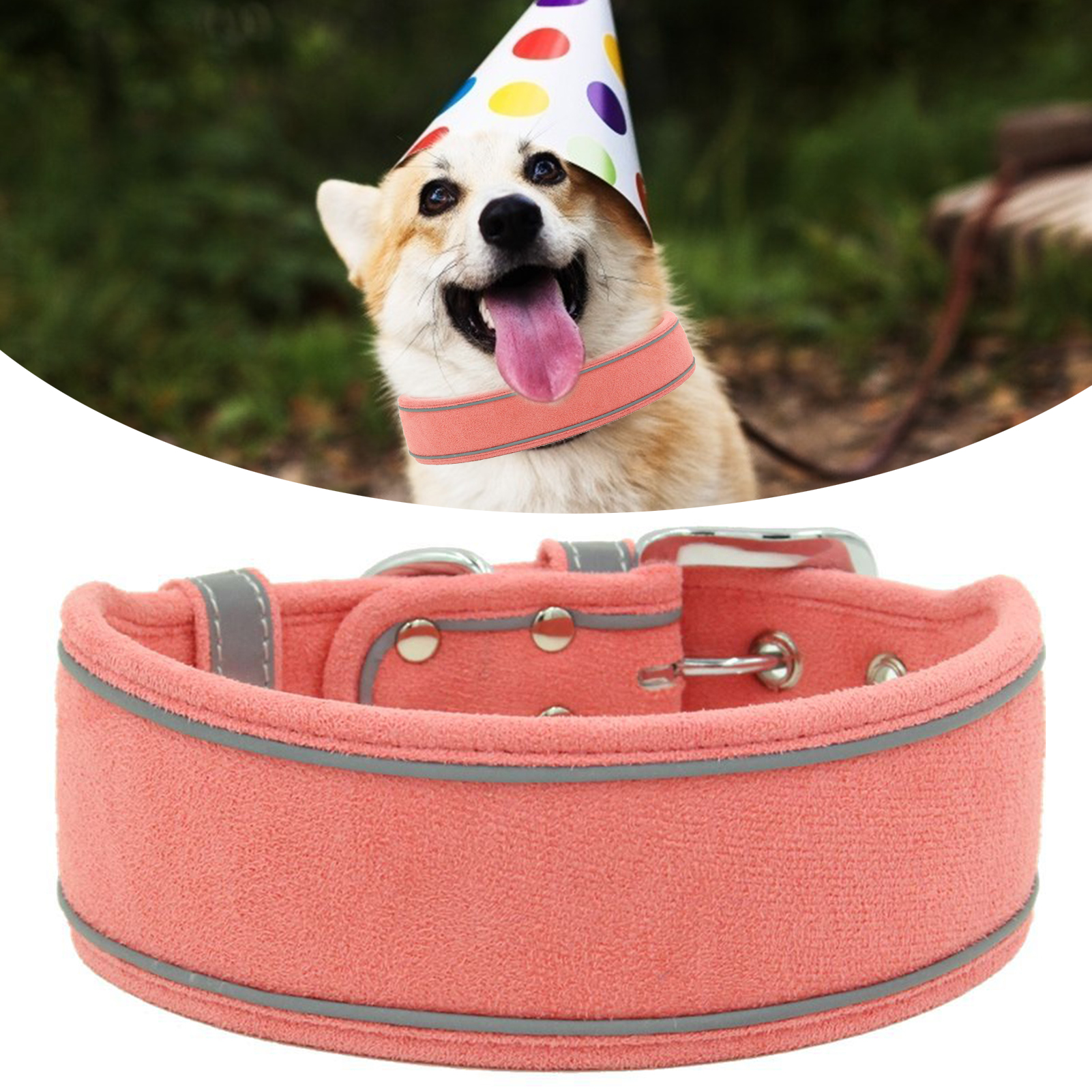 dog accessories ebay